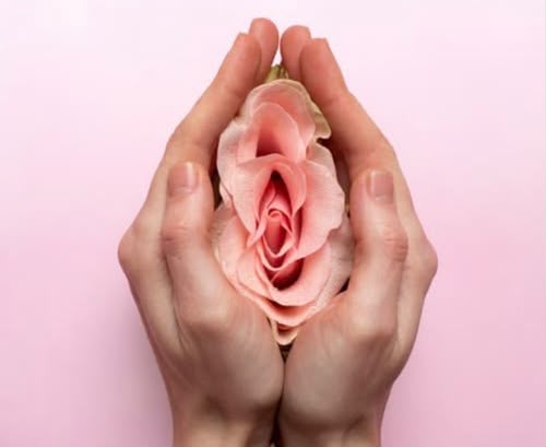 Ninfoplastia